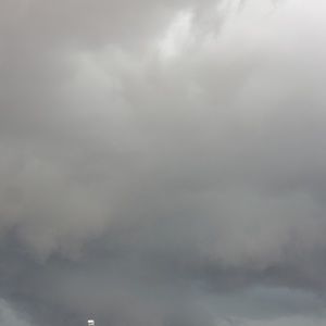 Meet your Posher, Annette